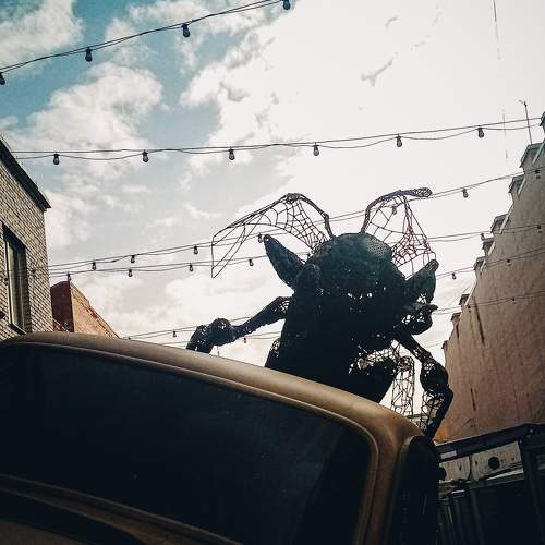 Photo #8513408