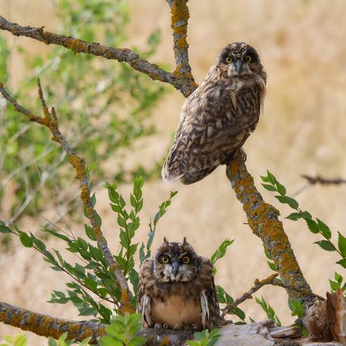 Photo #8513496