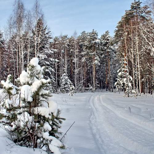 Photo #8513733
