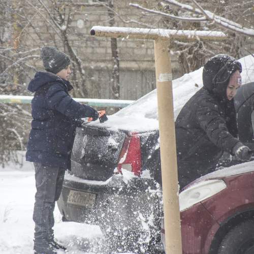 Photo #8513856