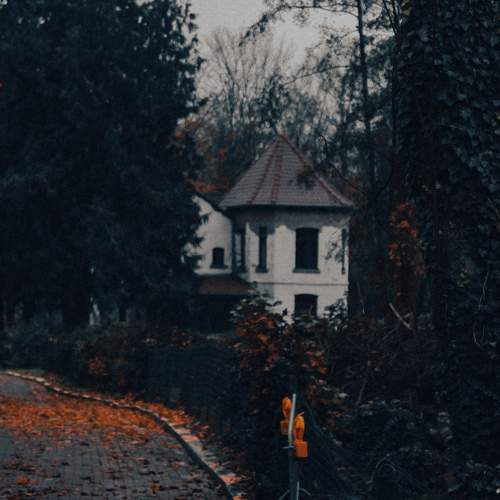 Photo #8513939