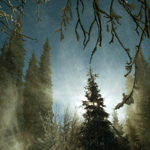 Photo #8514794