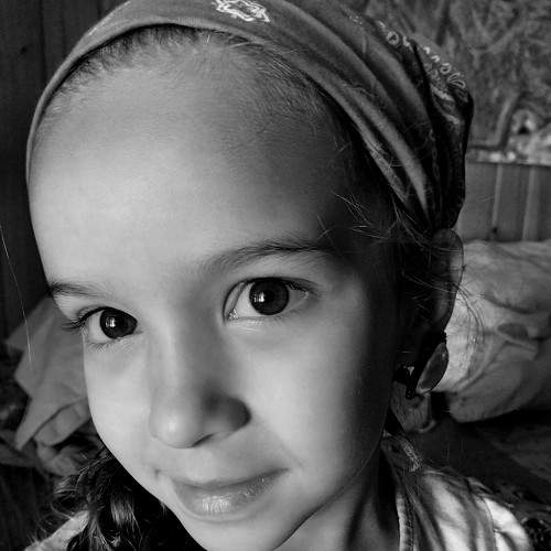 Photo #8514802