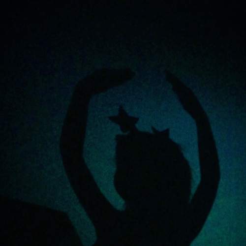 Photo #8514956