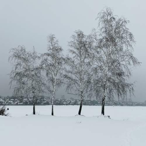Photo #8514980