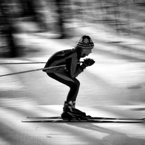 Photo #8515078