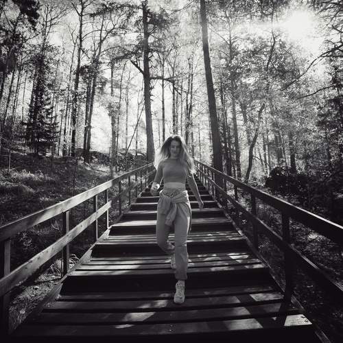 Photo #8515083