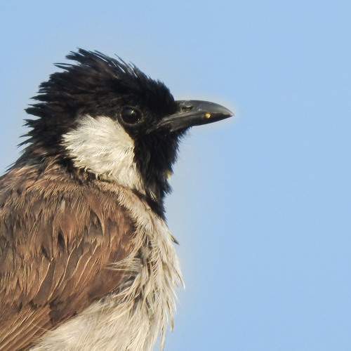 Photo #8515154