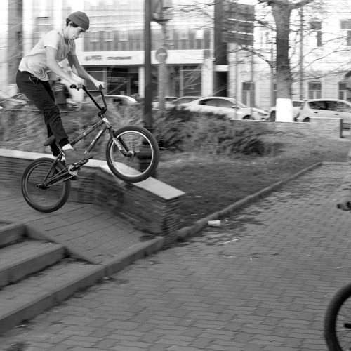 Photo #8515332