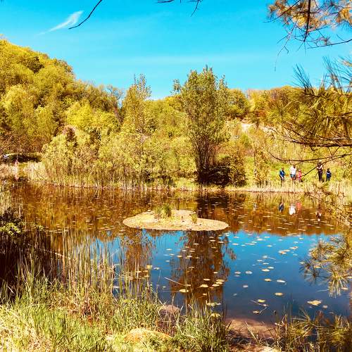 Photo #8515645