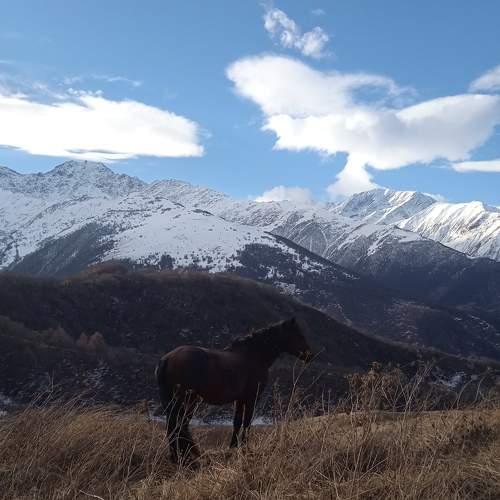 Photo #8516013