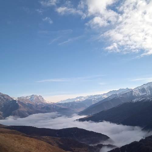 Photo #8516014