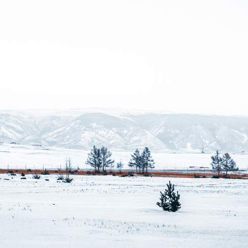 Photo #8516097