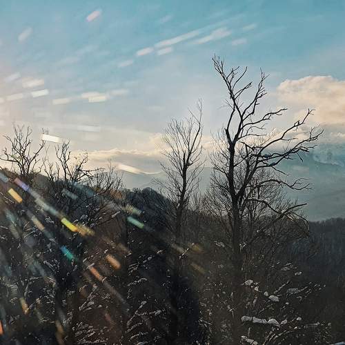 Photo #8516601