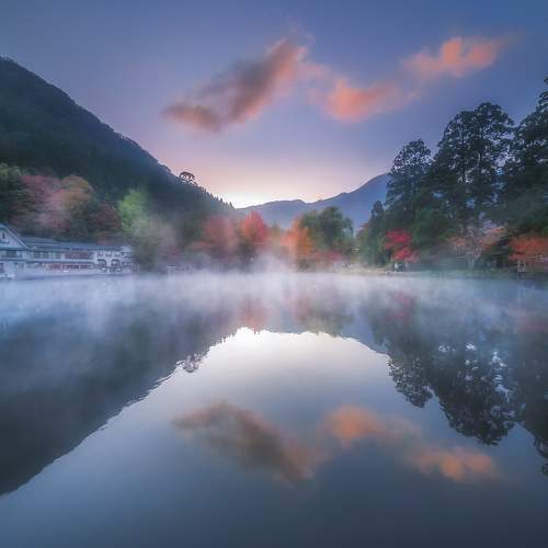 Photo #8517488