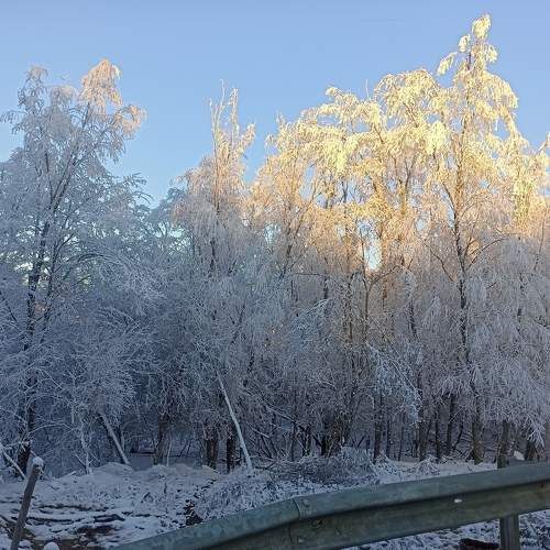 Photo #8517494