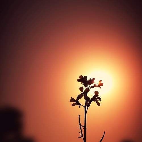 Photo #8517566