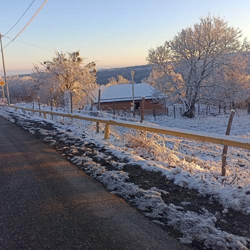 Photo #8517615
