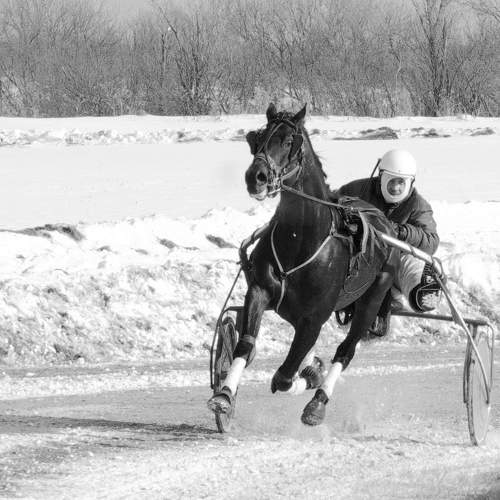 Photo #8517741
