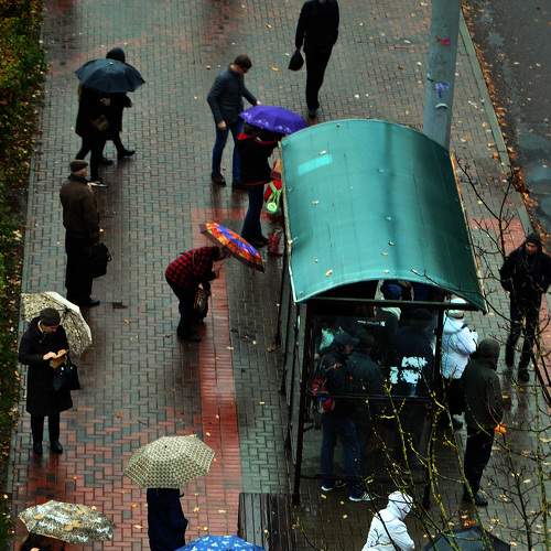 Photo #8517799