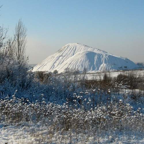 Photo #8517809