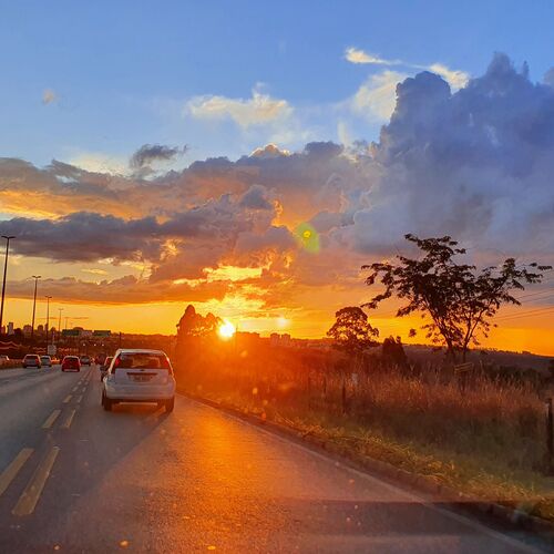 Photo #8517927