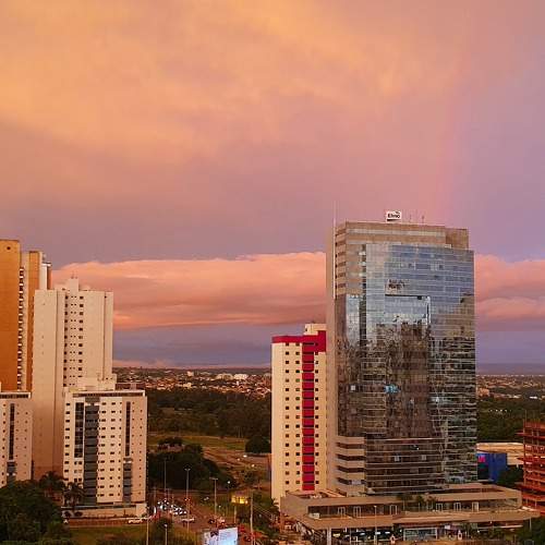Photo #8517929