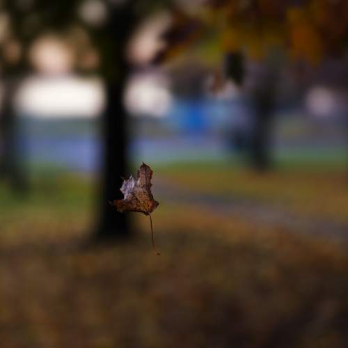 Photo #8517977