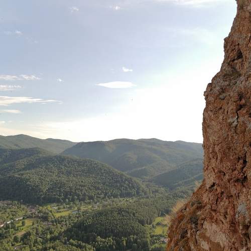 Photo #8518006