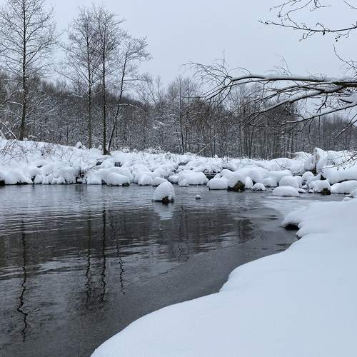 Photo #8518110
