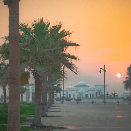 Photo #8518180