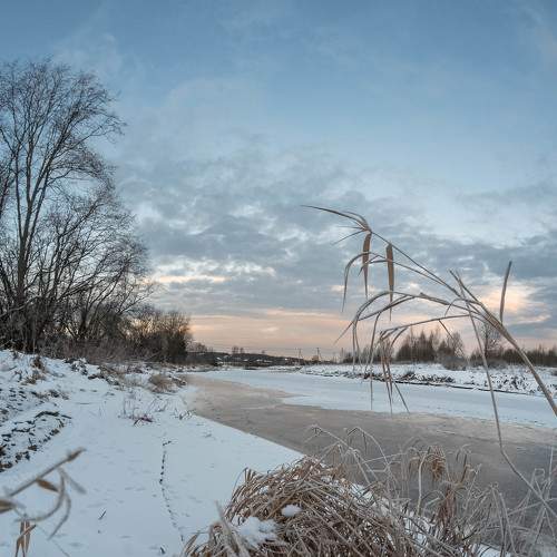 Photo #8518252