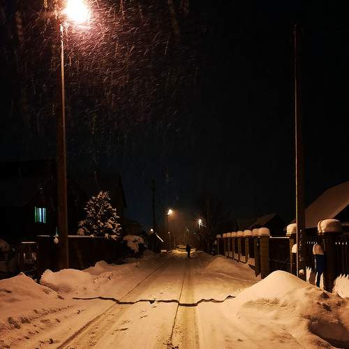 Photo #8518497