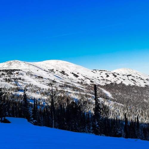 Photo #8518532