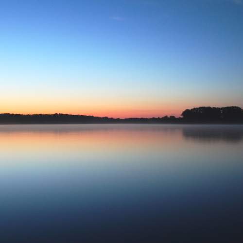 Photo #8518888