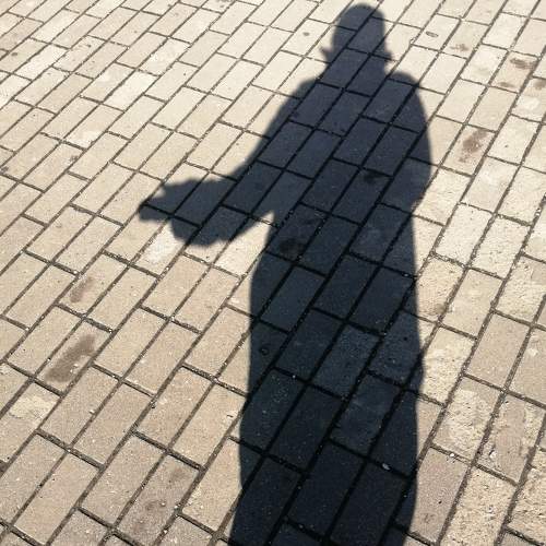 Photo #8519449