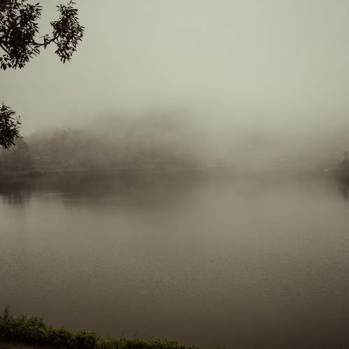 Photo #8519524