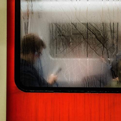 Photo #8519666