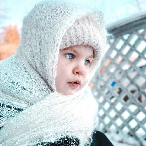 Photo #8519693
