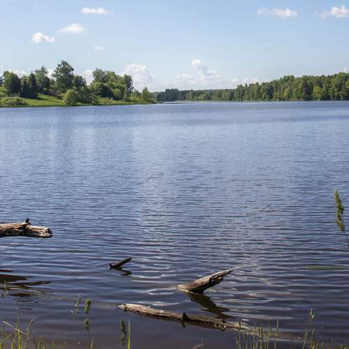 Photo #8519748