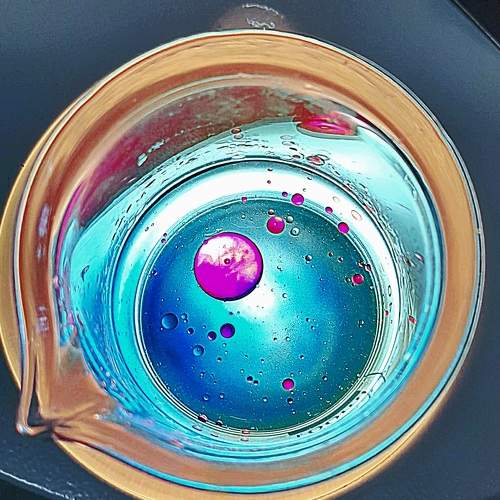Microcosmos en beaker