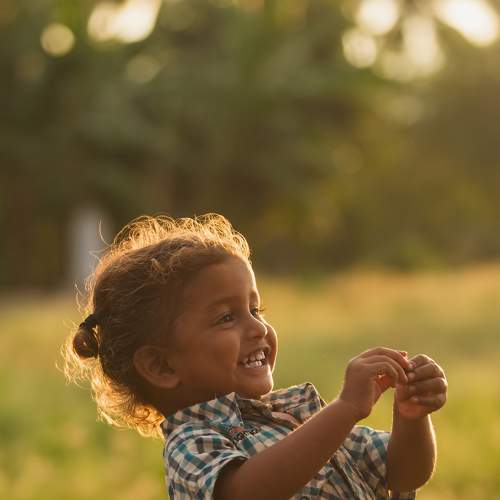 Photo #8520228
