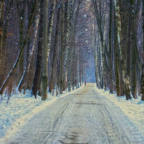 Photo #8520235