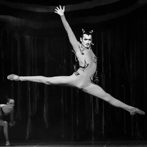 Photo #8520243