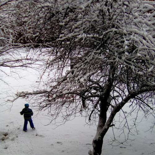 Photo #8520392