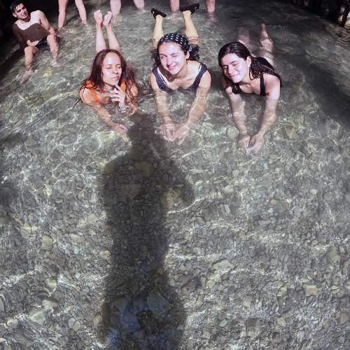 Photo #8520572