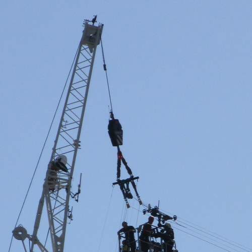 Photo #8520668