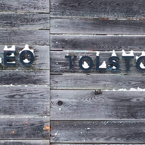 Photo #8520688