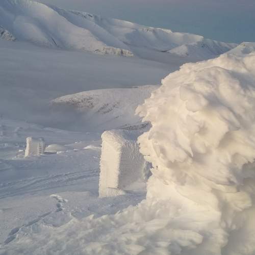 Photo #8520724