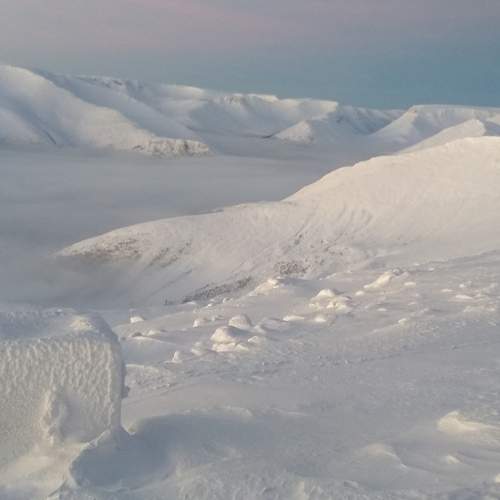 Photo #8520751
